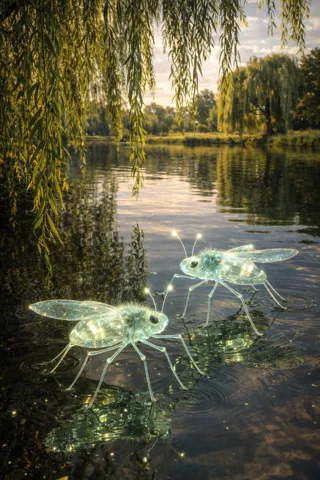 Mo’Joe — Willow Pond