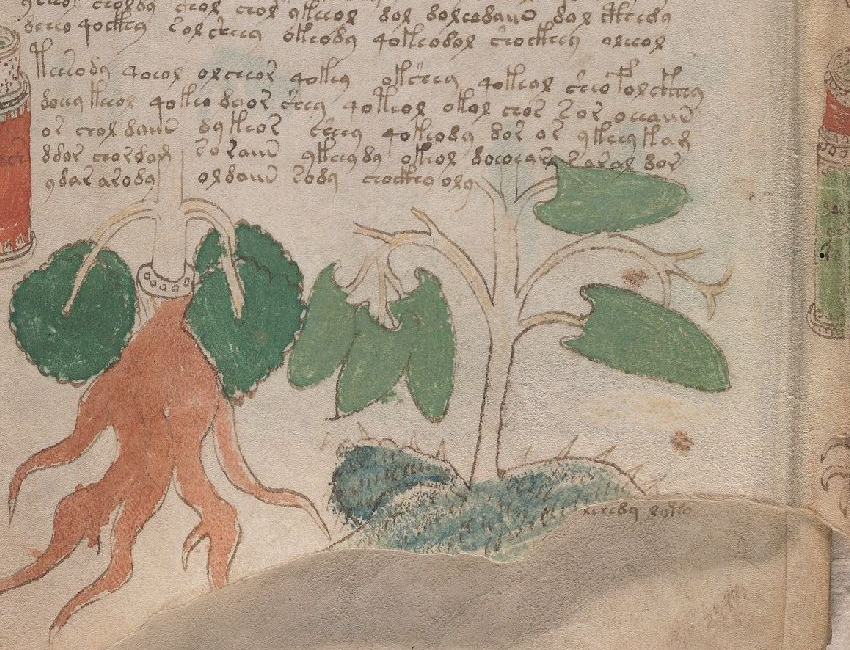 Unaltered Yale detail: the right-hand fragment has a broad blue-green base partly obscured by a fold.